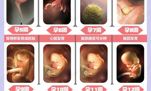 孕期tsh值正常范围-怀孕期间的tsh值网 - 为你提供怀孕期间tsh值偏高有什么影响、孕妇TSH正常值参考范围