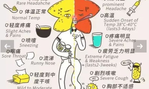 怀孕期间的tsh值网 - 为你提供怀孕期间tsh值偏高有什么影响、孕妇TSH正常值参考范围